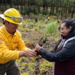 Planta Sedema mil árboles en San Juan del Monte