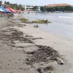 SEDEMA y Ayuntamientos revisan por qué el mal olor en playas de Boca del Río