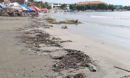 SEDEMA y Ayuntamientos revisan por qué el mal olor en playas de Boca del Río