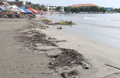 SEDEMA y Ayuntamientos revisan por qué el mal olor en playas de Boca del Río