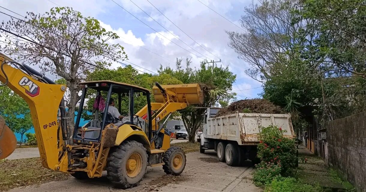 Mantiene Limpia Pública operativo permanente de poda y saneamiento en vialidades de Coatzacoalcos