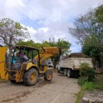 Mantiene Limpia Pública operativo permanente de poda y saneamiento en vialidades de Coatzacoalcos