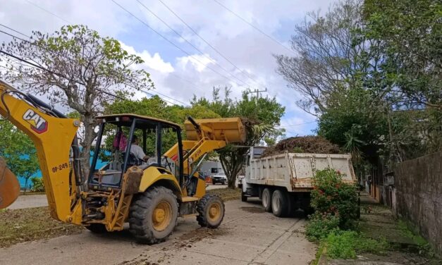 Mantiene Limpia Pública operativo permanente de poda y saneamiento en vialidades de Coatzacoalcos