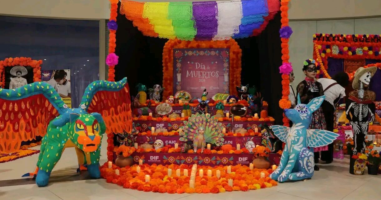 Participa DIF Coatzacoalcos en “Coatza entre Flores y Recuerdos”
