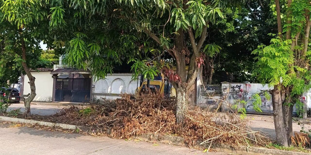 Ayuntamiento de Coatzacoalcos labores de limpieza y retiro de escombros en vialidades
