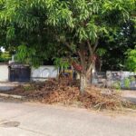 Ayuntamiento de Coatzacoalcos labores de limpieza y retiro de escombros en vialidades
