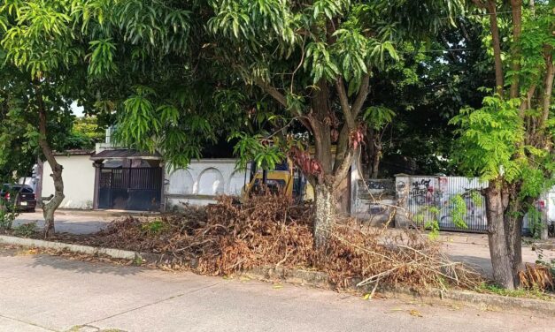 Ayuntamiento de Coatzacoalcos labores de limpieza y retiro de escombros en vialidades