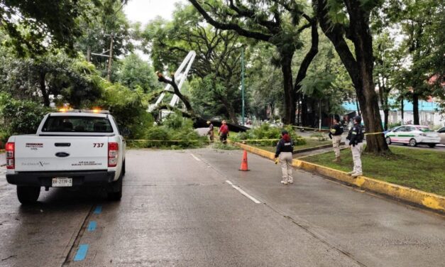 Persisten lluvias; SPC mantiene vigilancia en municipios veracruzanos