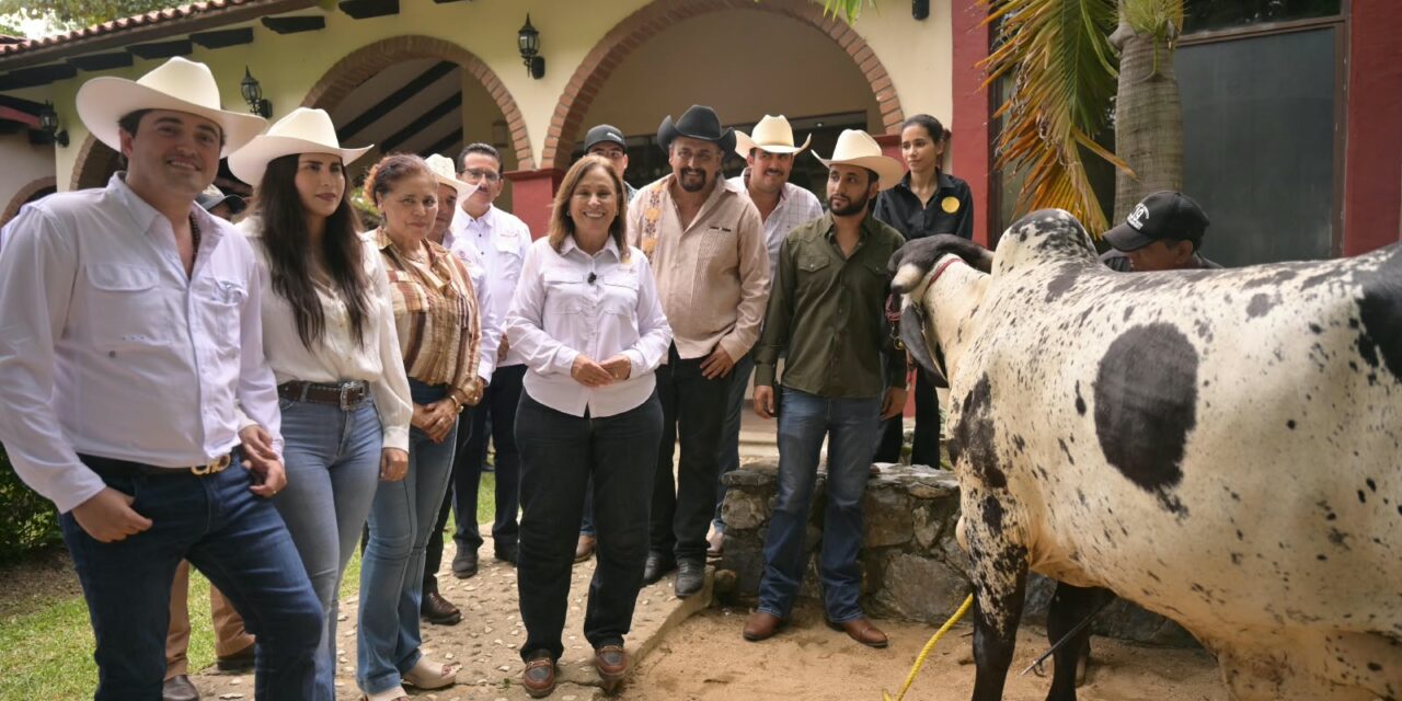 Reconoce Gobernadora calidad del ganado y trabajo de productores del sur