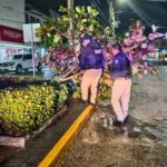 Policía Municipal de Coatzacoalcos realiza labores de vigilancia y apoyo social ante la caída de árboles