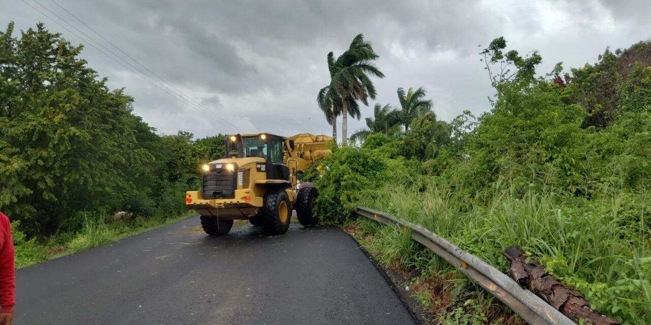Atiende SICT Veracruz incidencias en la red carretera federal ocasionada por lluvias