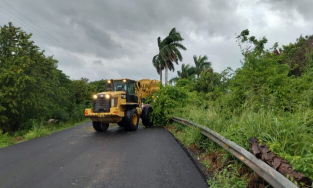 Atiende SICT Veracruz incidencias en la red carretera federal ocasionada por lluvias