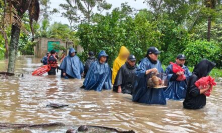 Plan Tajín: apoyo y atención a las familias damnificadas del sur del estado