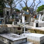 Celebrará Coatzacoalcos el Día de Muertos con cinco días de actividades culturales