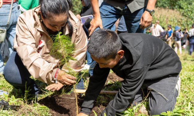 Sedema y Alpatláhuac reforestan 55.5 hectáreas en las Altas Montañas