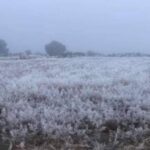 Prevén temperaturas de hasta los cero grados y heladas en zonas altas de Veracruz