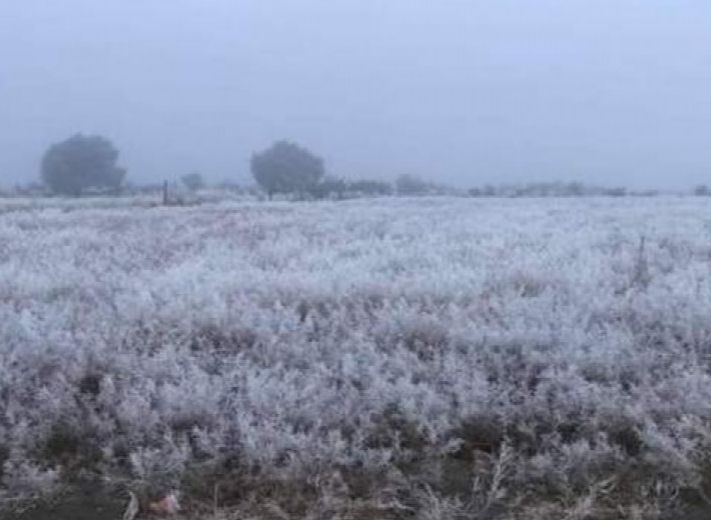 Prevén temperaturas de hasta los cero grados y heladas en zonas altas de Veracruz