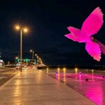 Coatzacoalcos se ilumina de rosa durante octubre para promover la concientización sobre el cáncer de mama