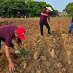 Coatzacoalcos avanza hacia un municipio más verde