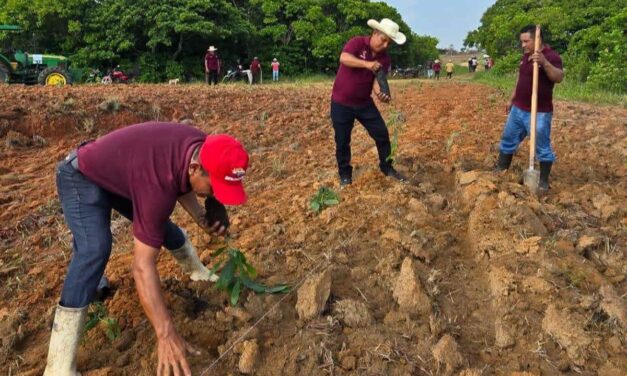 Coatzacoalcos avanza hacia un municipio más verde