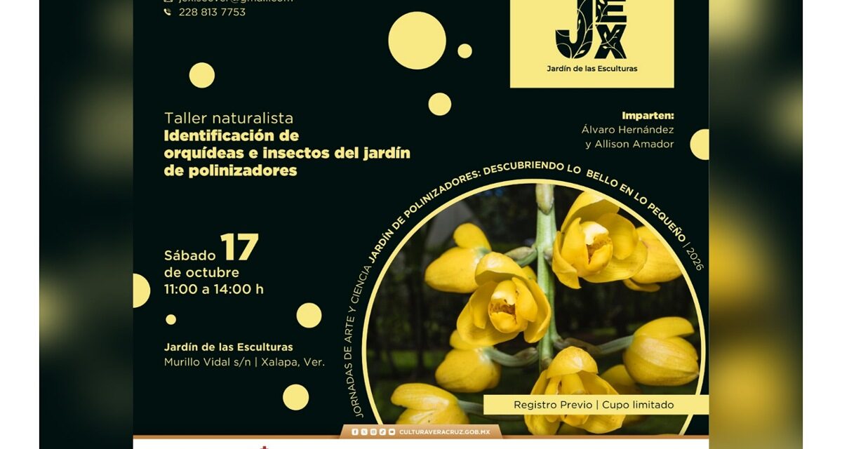 Continúa SECVER con las Jornadas de arte y ciencia en el Jardín de las Esculturas de Xalapa