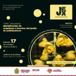 Continúa SECVER con las Jornadas de arte y ciencia en el Jardín de las Esculturas de Xalapa
