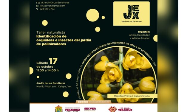 Continúa SECVER con las Jornadas de arte y ciencia en el Jardín de las Esculturas de Xalapa