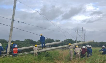 CFE trabaja en el restablecimiento del suministro eléctrico afectado en Veracruz por los efectos del frente frío No.2