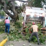 Despejan vías de comunicación en Coatzacoalcos tras la caída de árboles por vientos de “Norte”