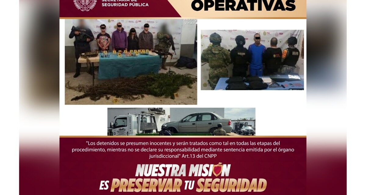 Detenidos 11 presuntos integrantes de células delictivas durante operativos coordinados