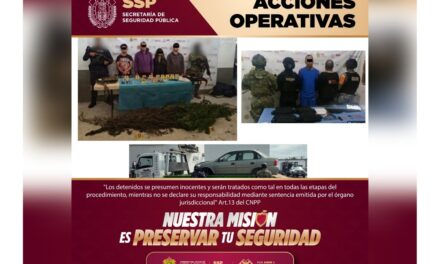 Detenidos 11 presuntos integrantes de células delictivas durante operativos coordinados