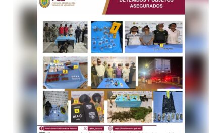 33 cateos en 28 municipios de Veracruz dejan 29 detenidos e indicios asegurados