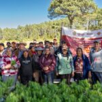 Reforesta Sedema 3.5 hectáreas en el ejido Las Vigas con 3 mil 500 árboles