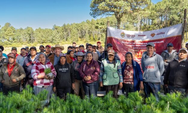 Reforesta Sedema 3.5 hectáreas en el ejido Las Vigas con 3 mil 500 árboles